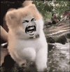 搞笑：今天有啥好笑的图片呢？来一波斗图流-4.jpg