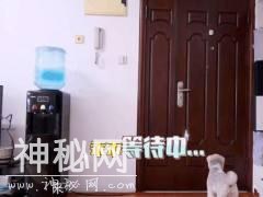 杨迪家的房子也太搞笑了，面积小的可怜，连家具都要买“缩水版”-4.jpg