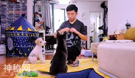 杨迪家的房子也太搞笑了，面积小的可怜，连家具都要买“缩水版”-3.jpg