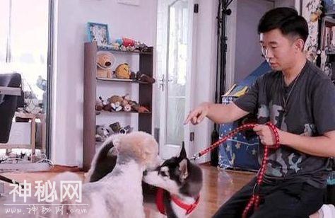 杨迪家的房子也太搞笑了，面积小的可怜，连家具都要买“缩水版”-11.jpg