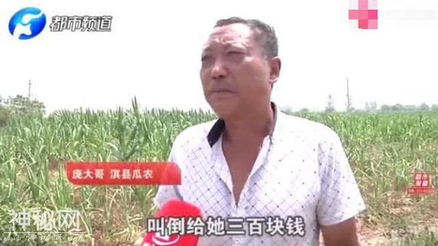 瓜农倒赔偷瓜贼是什么情况？怎么回事？终于真相了，原来是这样-1.jpg