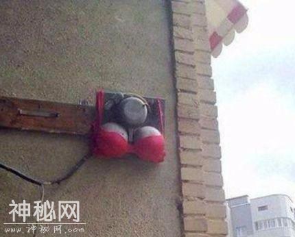 搞笑GIF图：球迷发型，你想要的样子我都有-6.jpg