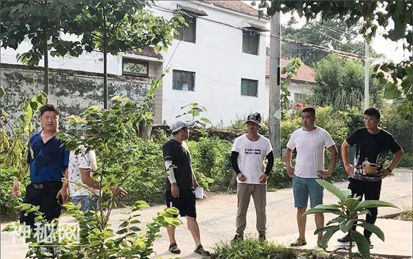 大事件！沛县考古开始了，主要针对....-4.jpg