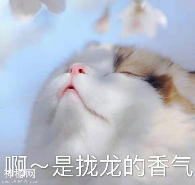 美妆UFO丨想被王嘉尔王一博抱在怀里？他们pick的香水不可错过-24.jpg