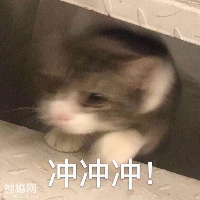美妆UFO丨想被王嘉尔王一博抱在怀里？他们pick的香水不可错过-39.jpg
