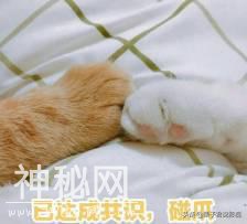拍都市爱情片的导演跑去和吴京比拍科幻片，差点就比过了-3.jpg