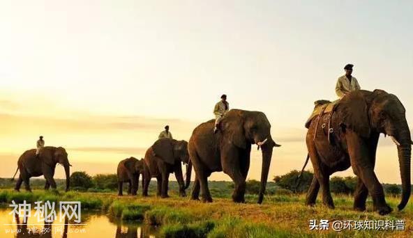 「趣闻」缅甸的传统风俗禁忌 你知道多少？-3.jpg