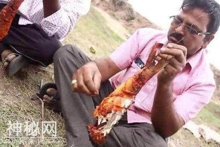 这种生物，中国吃货都没办法，却被印度人吃到灭绝-3.jpg