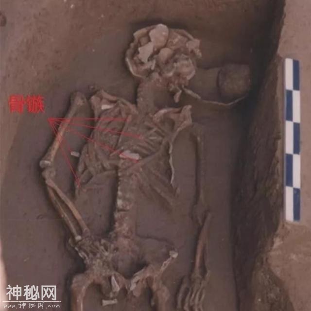 史前古墓证实，早在5000年前，中国人就掌握了初步人体解剖学-1.jpg