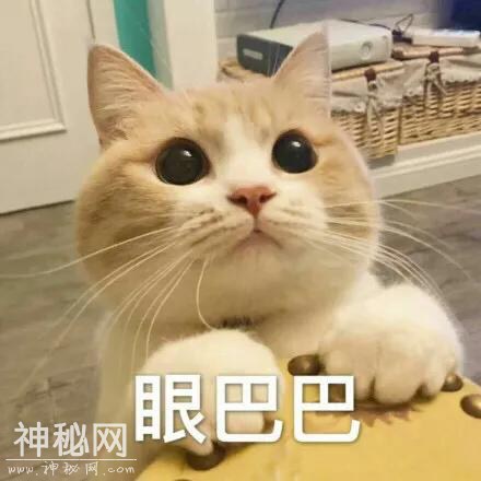 如何快速提升自己幽默搞笑的能力、这里有几种傻瓜式技巧！-14.jpg