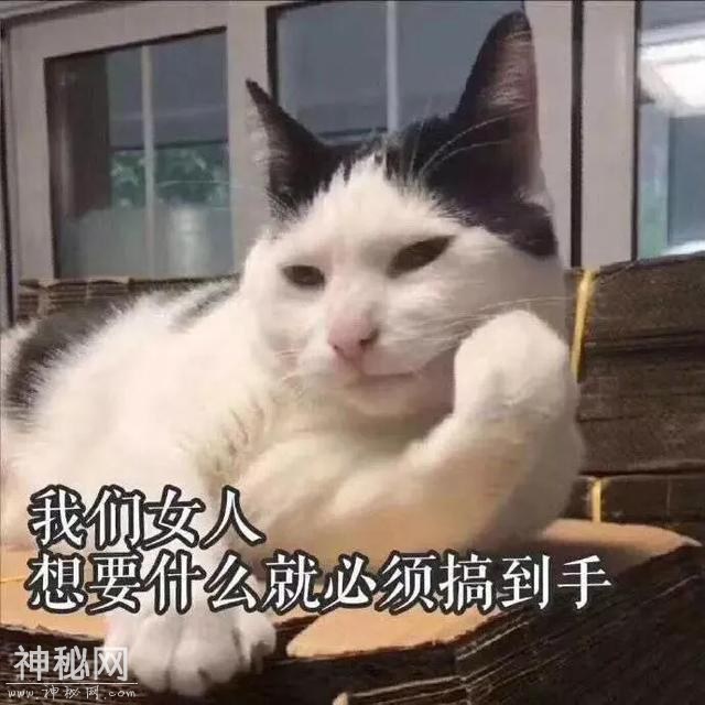 如何快速提升自己幽默搞笑的能力、这里有几种傻瓜式技巧！-19.jpg