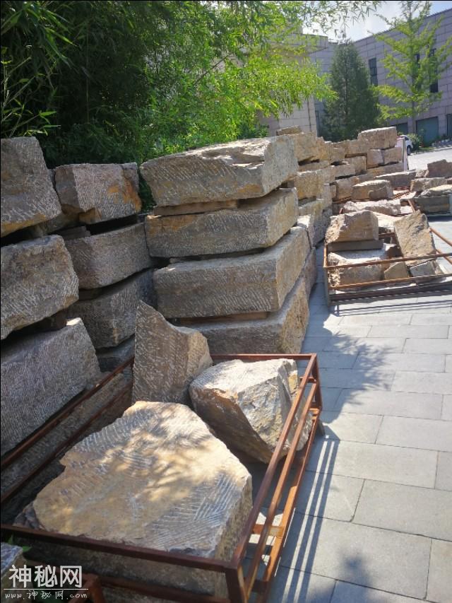 在徐州博物馆后院，有座正在考古发掘的神秘墓葬：徐州土山二号墓-11.jpg