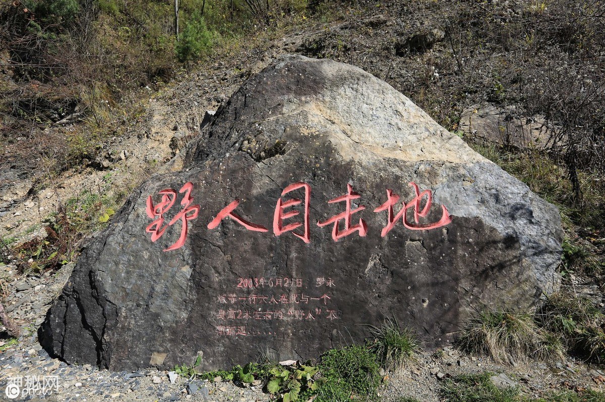 神农架到底有没有野人？几十年来，有谁真正见到了野人？-5.jpg
