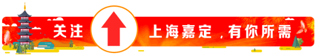 鸟类生活的天堂！嘉定唯一的野生动物栖息地，你知道吗？-1.jpg