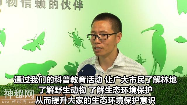 鸟类生活的天堂！嘉定唯一的野生动物栖息地，你知道吗？-10.jpg