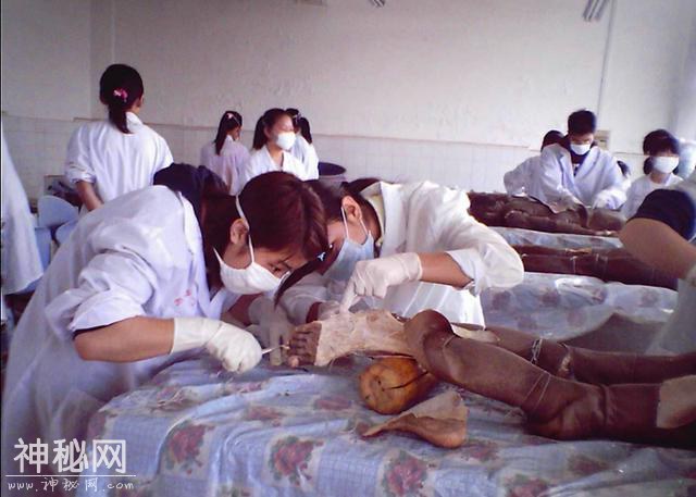 湖南农民无意挖出神秘古墓，开棺瞬间女尸动了，吓坏考古人员-3.jpg