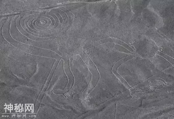被怀疑是外星人的降落基地，这个宛如仙境的地方一直是个迷-28.jpg