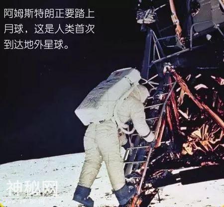 月球君，我们又回来了，而且不走了哟-2.jpg