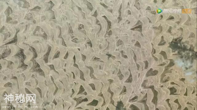 BBC全新神作，带孩子用上帝视角看地球上最奇特的自然现象-13.jpg