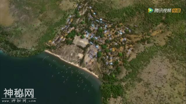 BBC全新神作，带孩子用上帝视角看地球上最奇特的自然现象-28.jpg