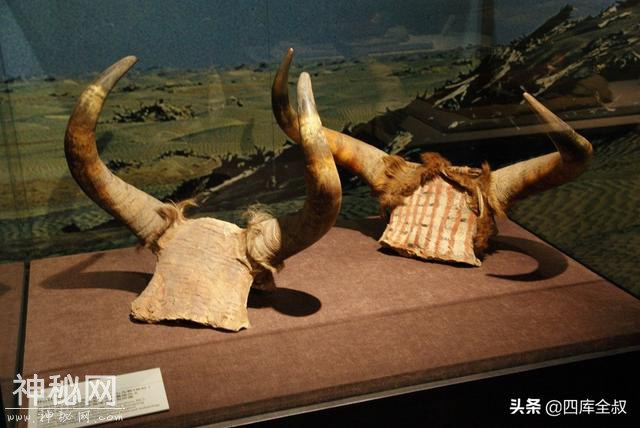 罗布泊里的千棺之坟，欧罗巴美女的干尸——被神秘笼罩的小河墓地-11.jpg