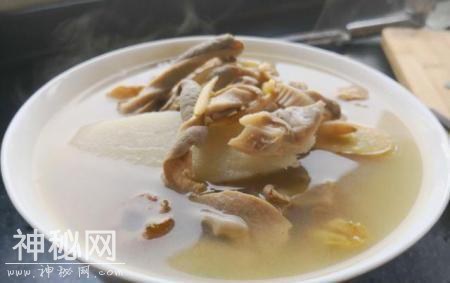分享13道家常汤的做法，简单又美味，特别适合秋天吃，健康养生-2.jpg