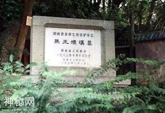盗墓贼也参与了马王堆发掘——长沙盗墓传奇-16.jpg