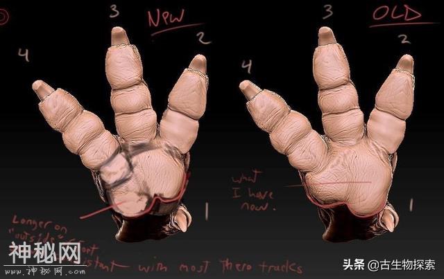 7.5米食肉恐龙踩个脚印，被中国古生物学家发现了-7.jpg