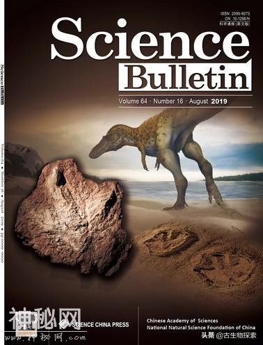 7.5米食肉恐龙踩个脚印，被中国古生物学家发现了-9.jpg
