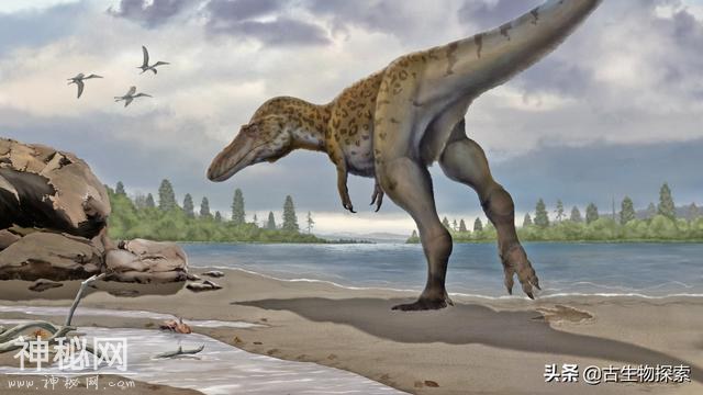 7.5米食肉恐龙踩个脚印，被中国古生物学家发现了-10.jpg
