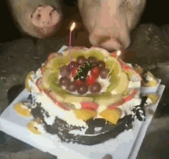 搞笑GIF：哥们，你媳妇掉了，真是粗心啊-6.jpg