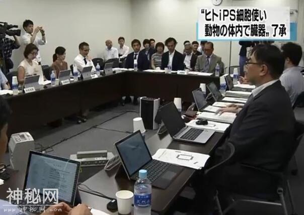 日本首次允许人兽混合胚胎研究 民众忧现杂交生物-1.jpg