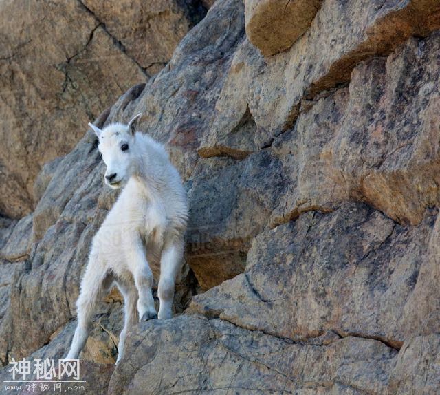 外星生命一定需要水？霍金说，已有的知识可以推断它们的特征-4.jpg