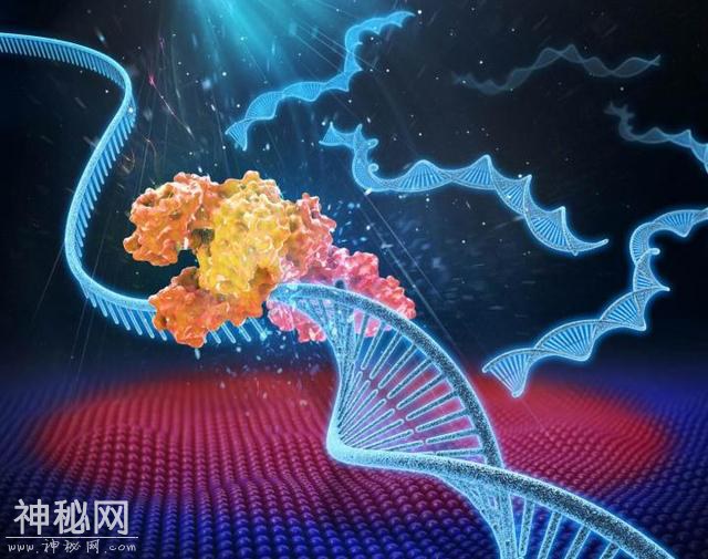 外星生命一定需要水？霍金说，已有的知识可以推断它们的特征-2.jpg