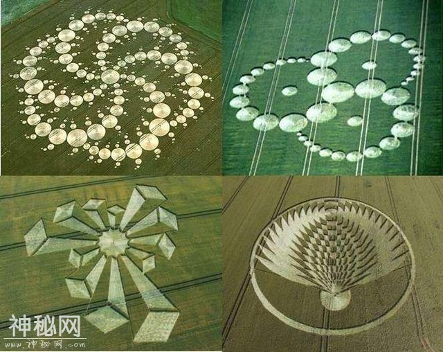 「自然」世界各地的“麦田怪圈”都是UFO的杰作？-1.jpg