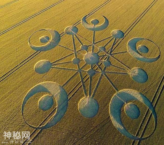 「自然」世界各地的“麦田怪圈”都是UFO的杰作？-2.jpg