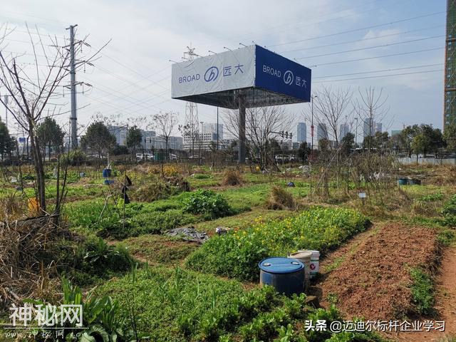 走进远大科技学创新，市场占有率排名第一，走绿色发展之路-3.jpg