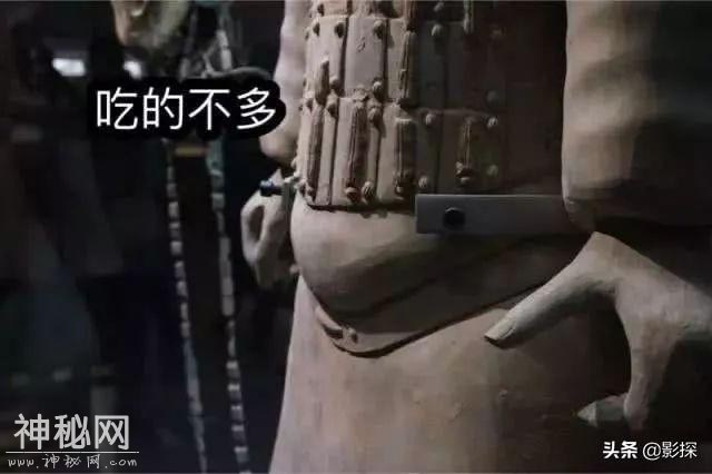 9分开局，央视出手吊打各路盗墓烂片-23.jpg