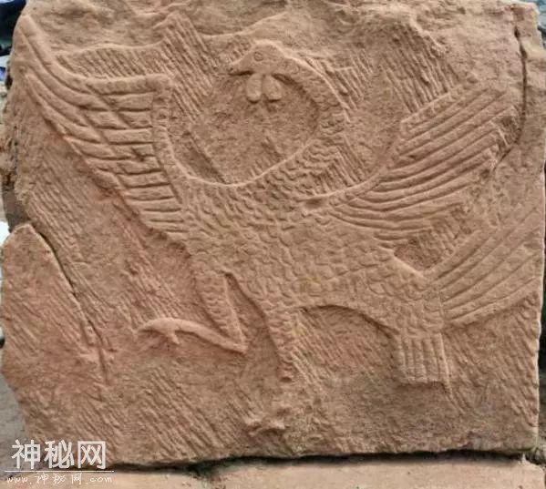 清仁乡发现的古墓，竟是罕见的石棺陶棺合葬墓-2.jpg