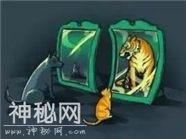 为什么动物从来不刷牙，牙齿却依然很健康？-7.jpg