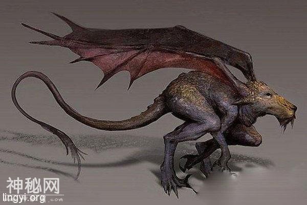 全球十大神秘生物-3.jpg