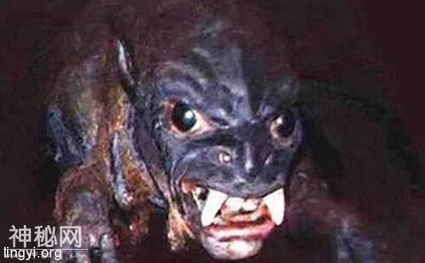 全球十大神秘生物-2.jpg