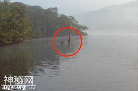 全球十大神秘生物-1.jpg