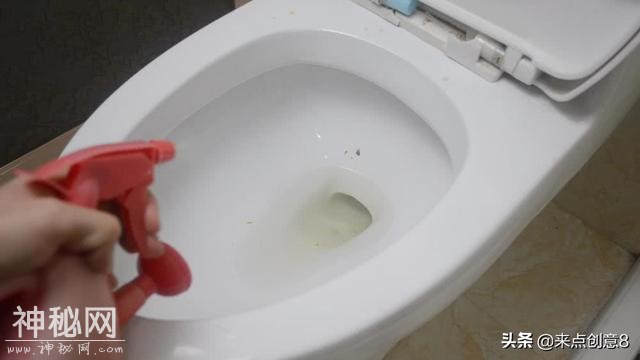 我家从来不买洁厕灵，用它就行，马桶细菌马桶黄渍轻松去除，真棒-12.jpg