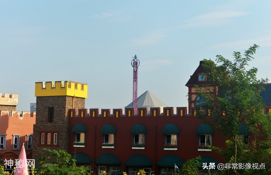 大型游乐场过山车等当废品成交，毁掉的森林地下，是千年战国古墓-2.jpg