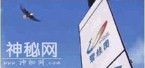 世界500强发榜 129家中国企业上榜 历史上首次超过美国-3.jpg