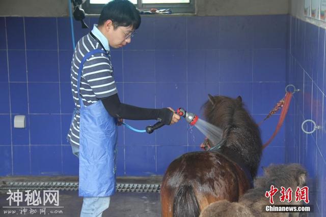 “烧烤”模式全面开启 动物防暑降温有妙招-4.jpg