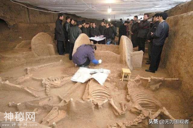 考古与盗墓的不同以及区别，考古的意义-1.jpg