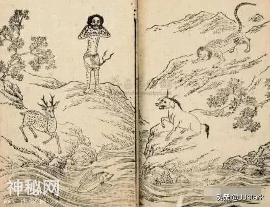 罗布泊突现大量干尸，专家发现惊人线索，山海经的记载是真的？-2.jpg