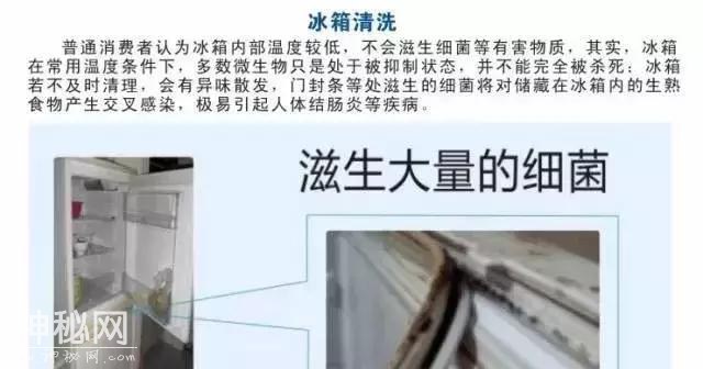 冰箱不清洗存在哪些隐患？细菌不会被冻死-4.jpg